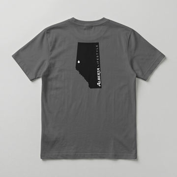 Alberta Silhouette T-Shirt – Grey / Black Back